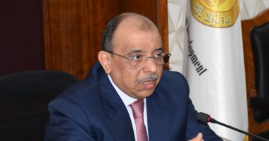 وزير التنمية المحلية: الرئيس السيسي أعطى دفعة كبيرة لدور مصر الرائد بالقارة