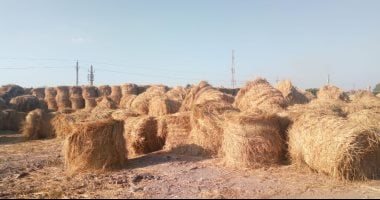 محافظ كفر الشيخ: تحويل قش الأرز إلى أعلاف وتسميد للتربة وتوفير فرص عمل للشباب