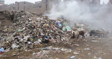 انتشار القمامة بشارع الصفطاوى أرض اللواء شكوى من قارئ