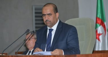 نائب رئيس البرلمان الجزائرى: مصر دولة محورية عربيا وأفريقيا