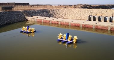 "الحزام الآمن".. تجربة لتقليل التلوث وتحسين نوعية المياه فى بحيرة قارون