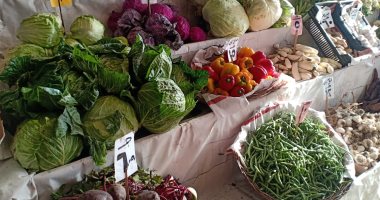 استقرار أسعار اللحوم والخضر والفاكهة فى أسواق دمياط