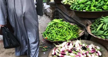 صور.. تعرف على أسعار الخضروات والفاكهة واللحوم بمحافظة الغربية