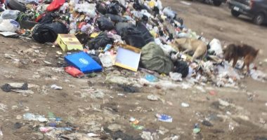 سكان شارع القومية العربية بإمبابة  يشكون انتشار القمامة