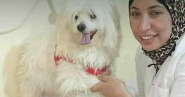 مصر خالية من السعار.. طبيبة بيطرية تدشن حملة لتطعيم الكلاب
