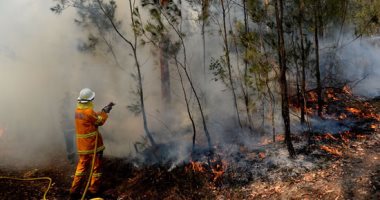 فرق الإطفاء بأستراليا تحاول السيطرة على حرائق الغابات 