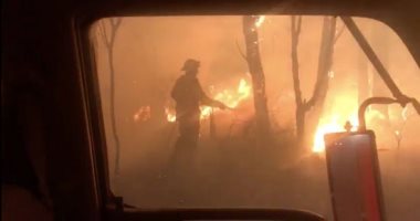 ولاية أسترالية تعلن حالة الطوارئ مع اقتراب حرائق الغابات من سيدنى