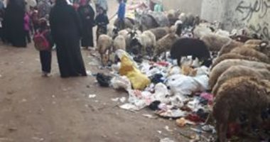 القمامة أمام مدرسة أطفال.. شكوى سكان أرض اللواء محافظة الجيزة