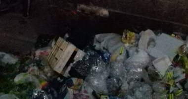 استمرار الشكاوى من انتشار القمامة والأوبئة فى عزبة النخل الغربية 