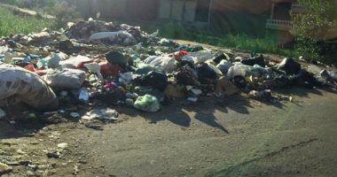 شكوى من انتشار القمامة بشارع جامع فلفل فى بشتيل