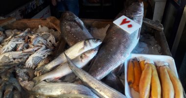 أسعار الأسماك بسوق العبور اليوم.. البلطى الأسوانى بين 17-37 جنيها للكيلو 