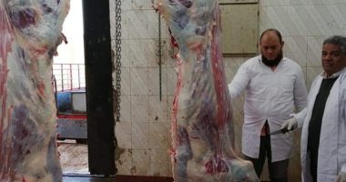 بيطرى الوادى الجديد ينفذ حملات تفتيش مكبرة على المجازر ومنافذ لبيع اللحوم(صور) 