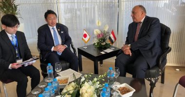 "شكرى": نتطلع لمشاركة رئيس وزراء اليابان فى افتتاح المتحف المصرى الكبير