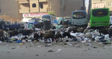 قارئ يشكو انتشار القمامة بشارع عرابى فى شبرا الخيمة