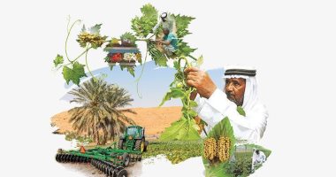 الإمارات تتقدم 10 مراكز في مؤشر الأمن الغذائى العالمي