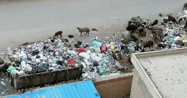 شكوى من مقلب للقمامة بشارع ترعة حدائق حلوان بحى المعصرة
