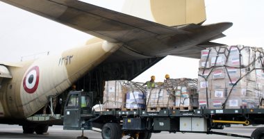 مصر ترسل مساعدات طبية عاجلة إلى جيبوتى بتوجيهات من الرئيس السيسى