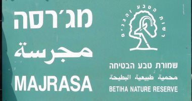 إسرائيل واللغة العربية.. القوانين تحاربها علنا والمدارس تواصل تعليمها
