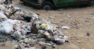 شكوى من انتشار القمامة والكلاب الضالة بشارع أحمد عرابى بالمهندسين