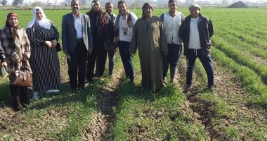 زراعة الشرقية : تنظيم يوم حقلى ومحاضرة عن ترشيد مياه الرى بمركز منيا القمح