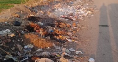 قارئ يشكو من انتشار القمامة والأوبئة بجزيرة الأكراد فى أسيوط