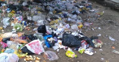 شكوى من انتشار القمامة بقرية بنى عمار بالمنيا