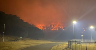 اشتداد حدة حرائق الغابات فى أستراليا ونزوح مئات الحيوانات