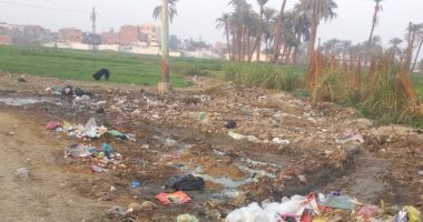 قارئ يشكو من انتشار القمامة بقرية العامرية بدير مواس بالمنيا