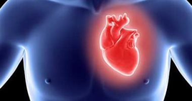 ماهى أنواع الصمامات الصناعية لمرضى القلب؟.. ومتى يتم استبدالها؟