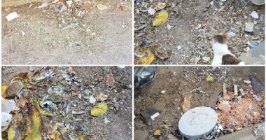 قارئة تشكو انتشار القمامة فى شارع محمد رمزى بميدان تريومف مصر الجديدة