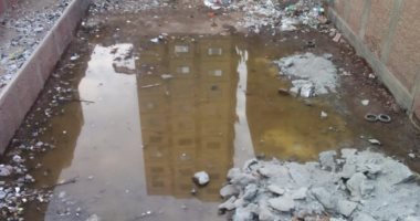 قارئ يشكو من انتشار المياه الجوفية شارع أبورواش ببشتيل البلد