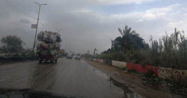 هطول أمطار متوسطة بمحافظة الغربية ..صور
