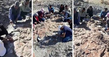 فيديو وصور.. اكتشاف حفرية لزاحف بحرى عملاق من عصر الديناصورات بالوادى الجديد