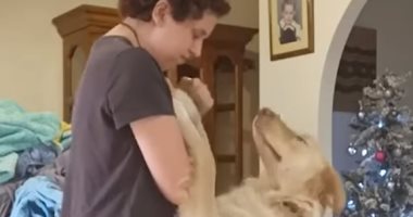 الصاحب الوفى.. كلب يهدئ صديقته المريضة بالتوحد بعد تعرضها لنوبة هلع ..فيديو