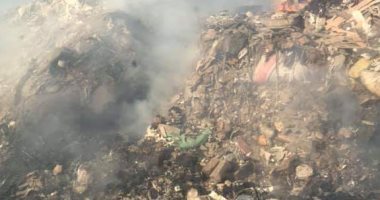 شكوى من انتشار القمامة والأوبئة بشارع مجمع المدارس بالوراق العرب