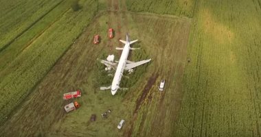 "حقل ذرة" ينقذ طائرة ركاب أرجنتينية من كارثة