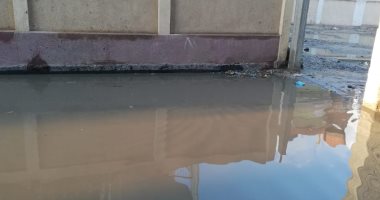 شكوى من تراكم المياه أمام بوابة مدرسة ومركز شباب قرية القرضا بكفر الشيخ