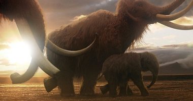 ديناصورات وخنافس وثعابين.. 400 نوع جديد اكتشفهم متحف التاريخ الطبيعى فى 2019