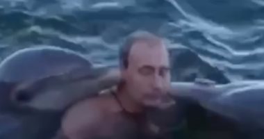 فيديو لبوتين يسبح مع "الدلافين" أثناء زيارته لكوبا.. بمناسبة 20 سنة رئاسة