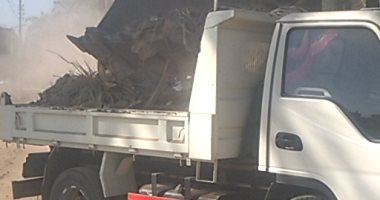 رفع وإزالة 102 طن مخلفات وقمامة من شوارع قرى البياضية بالأقصر.. صور