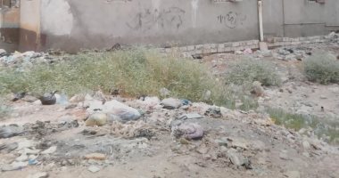 صور.. القمامة تحاصر سكان شارع بقرية الجرايدة فى كفر الشيخ