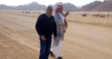 شرم الشيخ تستعد لاستضافة ثالث سباق للهجن برعاية الإمارات..صور 