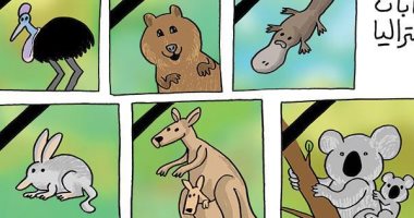 كاريكاتير صحيفة إمارتية.. حرائق "مستعرة" فى غابات إستراليا 