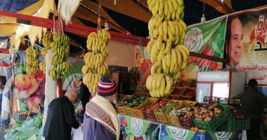 تعرف على أسعار الخضراوات والفواكه واللحوم بأسواق محافظة الغربية