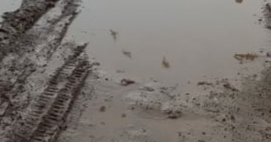 شكوى من محاصرة مياه الأمطار لقرية كفر بتبس فى محافظة المنوفية