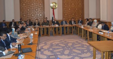 لجنة متابعة العلاقات المصرية الأفريقية تعقد أول اجتماعاتها بالعام الجديد
