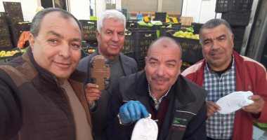 جمارك شرق بورسعيد تحبط محاولة تهريب 3060 "فرش حشيش" داخل صفقة تفاح.. صور