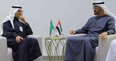 محمد بن زايد يلتقى وزير البترول السعودى 
