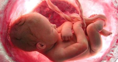 طبيب نساء: 96% من الإجهاض المتكرر سببه كروموسومات "الجنين" وليس الزوجين