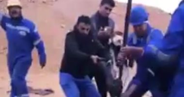 فيديو.. الإنسانية تتجسد على أرض مطروح شباب ينقذون 3 جمال صغار سقطت فى بئر
